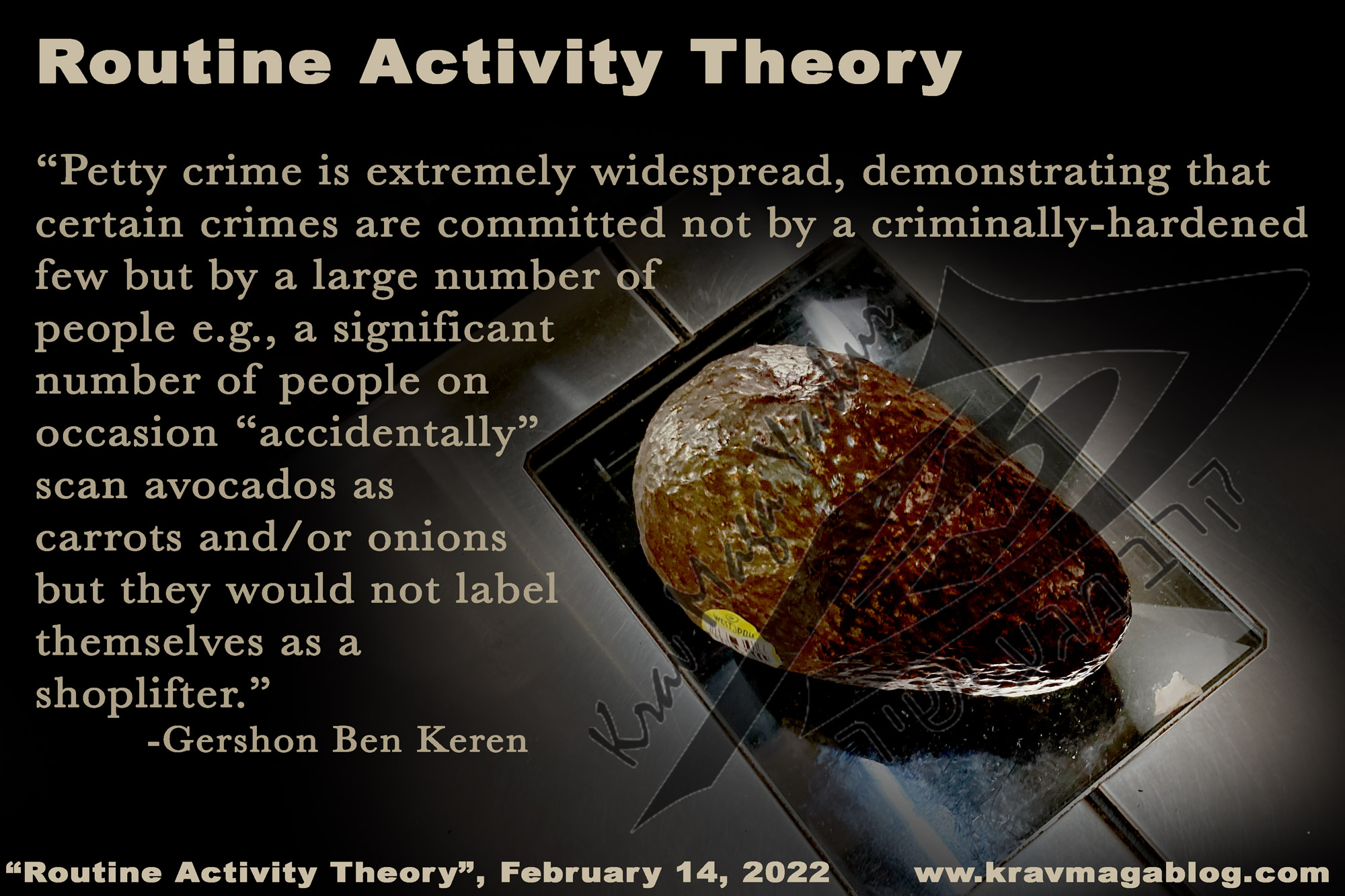 Routine Activity Theory