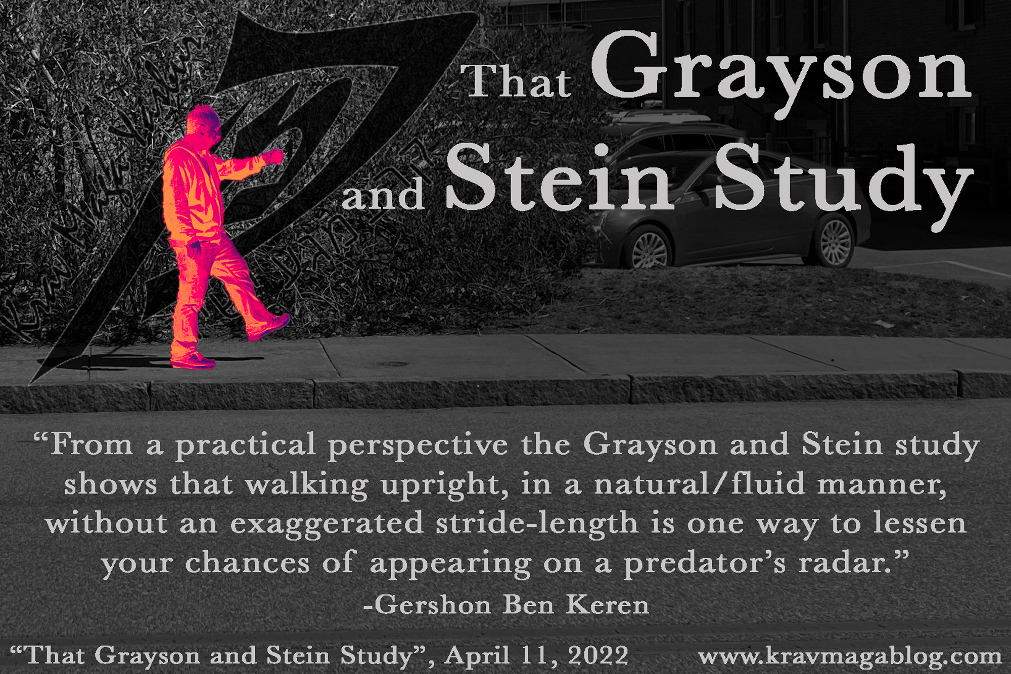 That Grayson & Stein Study