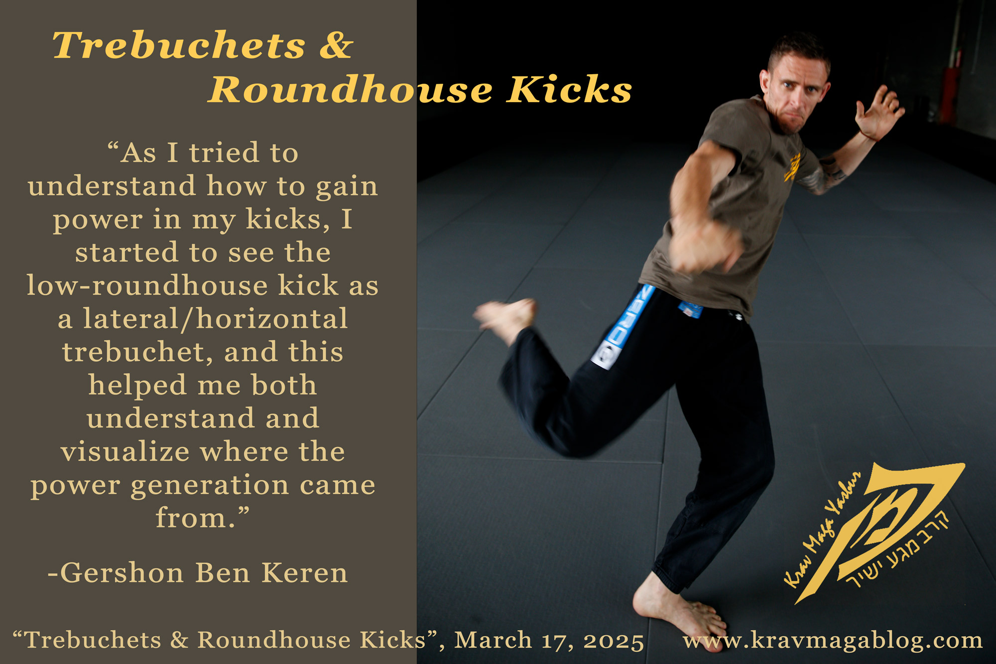 Trebuchets & Roundhouse Kicks